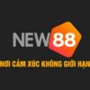 Tham gia nhà cái New888y com, nhận hoàn trả khủng 20%
