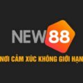 Tham gia nhà cái New888y com, nhận hoàn trả khủng 20%